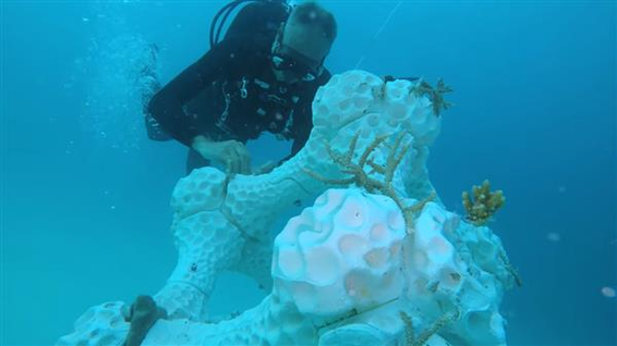 Titanium Alloy Artificial Corals 2 Titanium Alloy Artificial Corals 2